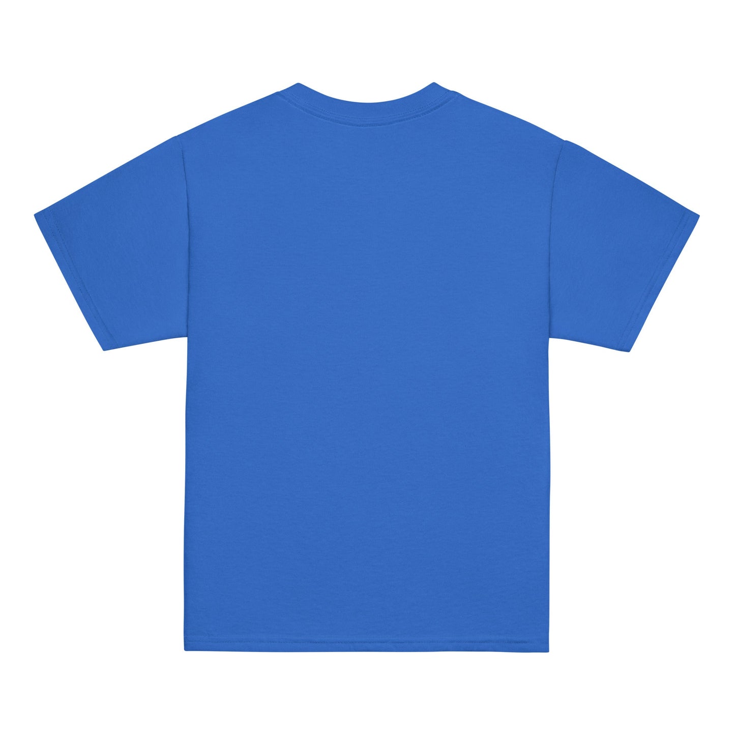 Blue youth classic tee, cotton blend, comfortable fit, versatile wardrobe staple.